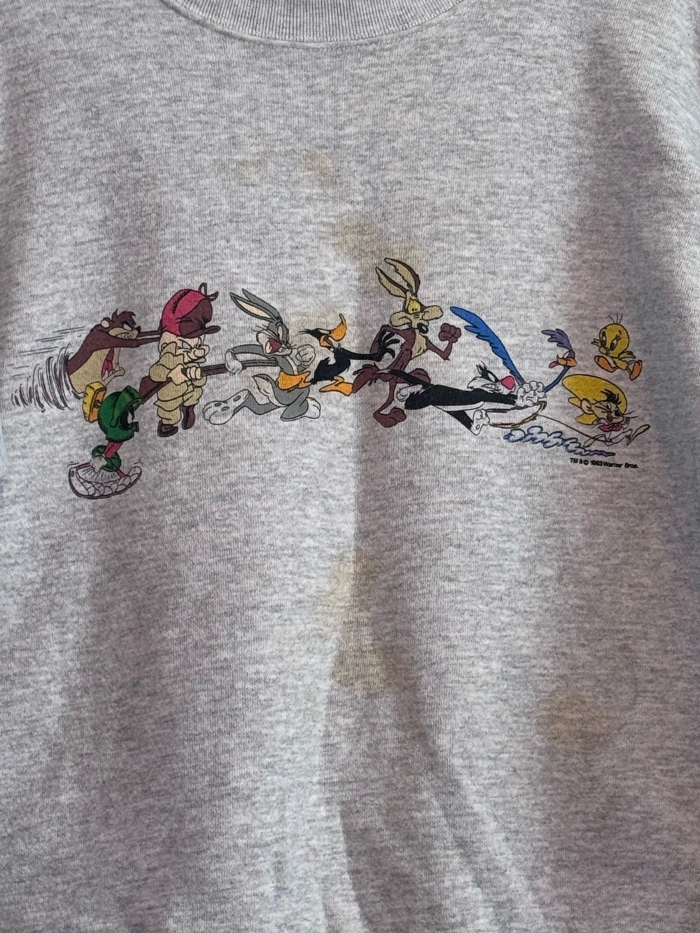 Tultex Vintage 1990s Looney Tunes Crewneck Sweatshirt In Heather Gray - Picture 7 of 7